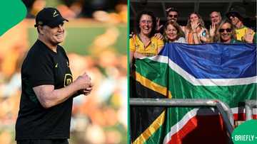 Erasmus salutes SA women ahead of Springboks' clash with Australia: "We are nothing without you"