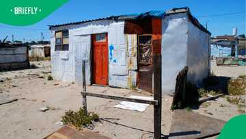 "So beautiful": Shack with ensuite bathroom goes viral on TikTok, leaving South Africans gushing