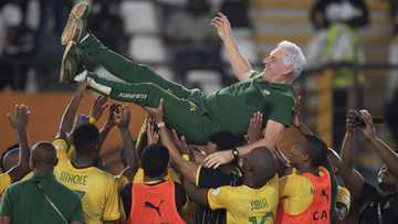 Mzansi fans praise coach Hugo Broos after Bafana Bafana moved up FIFA rankings