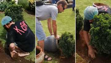 Man makes thieves plant back plants they had stolen, video goes viral