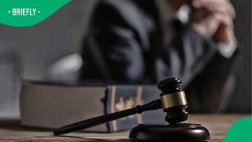 NPA puts halt to sex worker prosecutions amid court case for legal reform in South Africa