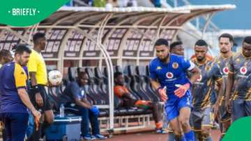 Kaizer Chiefs’ stellar run sparks Bafana Bafana goalkeeper debate