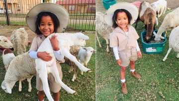 “So adorable”: SA seriously wowed by photos of a young 'farmer' and her sheep