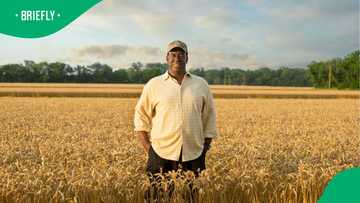 How to use land reform programme to drive job creation and economic inclusion