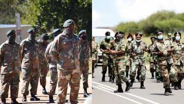 Zuma protests: Army won't be called in response to violence sweeping KZN