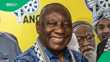 Cyril Ramaphosa's Nigerian billionaire lookalike draped in designer gear on plane cracks up South Africa