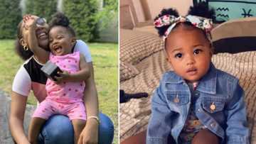 Momma tries to scare baba by pounding a teddy but her reaction was the total opposite, video has gone viral