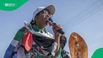 Jacinta Ngobese-Zuma claims 34,000 jobs created after foreign nationals removed