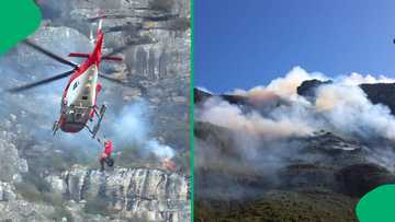 Arsonist arrested hiding on Table Mountain, 9 hectares of land destroyed following devastating fire