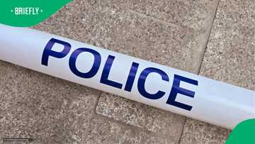 Officers stunned by fake licence made from loyalty card