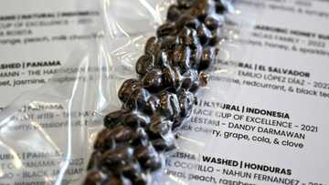 'Enlightened tingle': Aussie cafe offers $140 cup of coffee