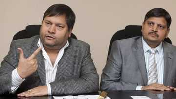 Guptas: R520m worth of controversial family's assets seized by Investigating Directorate