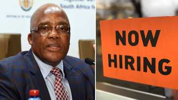 Home Affairs budgets R2.4 billion to hire 10 000 graduates and digitise records, job posts open Friday