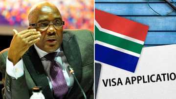 Home Affairs Minister Dr Aaron Motsoaledi warns Zim nationals with expired ZEP permits of punishment