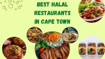 15 best halal restaurants with halal breakfast in Cape Town