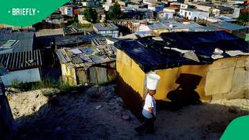 Stellenbosch's R2.6m homes contrast sharply with thousands living on R370 grant