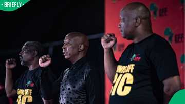 EFF considers legal action against MK Party's Vusi Shongwe over Julius Malema claims, SA reacts