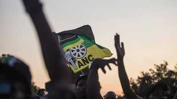 ANC no longer has following in rural Western Cape, says SACP after ruling party lost by-elections