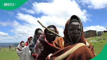 35 initiates dead and 180 rescued from bogus schools in 2026 winter season