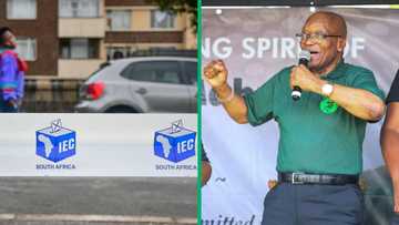 IEC requests reasons behind order allowing Jacob Zuma to contest General Election