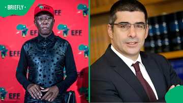 Julius Malema takes aim at Madlanga Commission commissioner Matthew Chaskalson