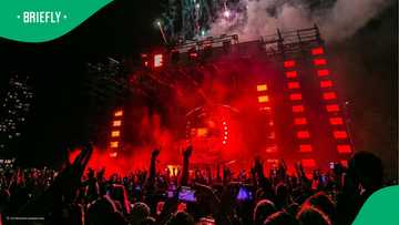 "For music never shame angeke": Coachella prices in rand leave South Africa in complete awe