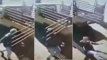 "Eina": Saffas react to video of bakkie gate flinging open, knocking woman over