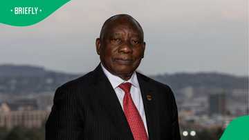 Cyril Ramaphosa says it would be unfair to fire Senzo Mchunu based on allegations alone, SA annoyed