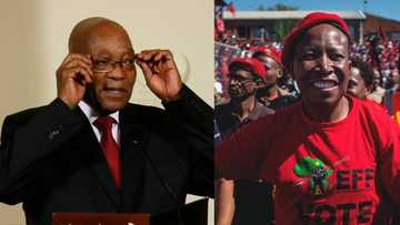 Julius Malema wants Jacob Zuma to make a decision about his political career: "I bow for those wise words"