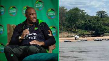 Patriotic Alliance members make Zimbabwean man at Limpopo border return to Zimbabwe in viral video