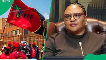'Dishonest and irrational': EFF tears into Didiza over Ramaphosa impeachment decision