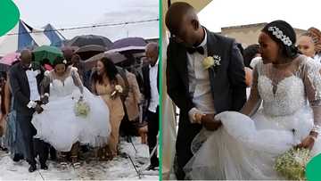 Couple’s wedding day in snowy South Africa goes viral on TikTok