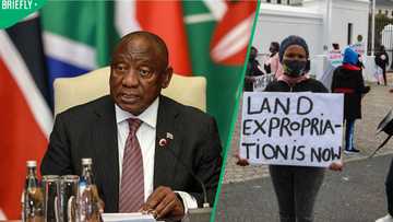 Ramaphosa's legal team defends expropriation act in Western Cape High Court