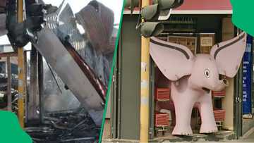 "RIP our beloved pink elephant": Boksburg says goodbye to their beloved landmark