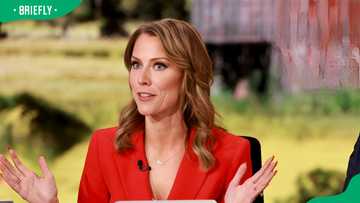 Erin Perrine's ex-husband: Who is Nick Perrine, and what does he do?