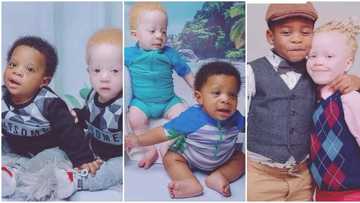 Amazing video shows rare twins, one albino, one black who are born to same parents, their beauty melts hearts