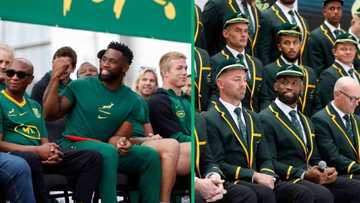 Netizens rally behind springboks as they head to Rugby World Cup 2023