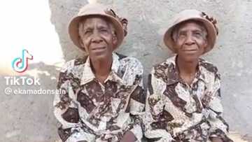 Viral video of elderly identical twins speaking & laughing in perfect sync leave South Africans feeling dizzy