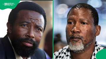 Eastern Cape COGTA dismisses King Buyelekhaya Dalindyebo "removing" chiefs including Mandla Mandela