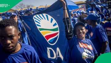 Democratic Alliance not opposed to a government of national unity