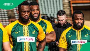 Springboks give latest Siya Kolisi and Ox Nché fitness update after Tuesday training assessment