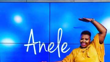 Anele Mdoda's biography: age, boyfriend, husband, sister and net worth