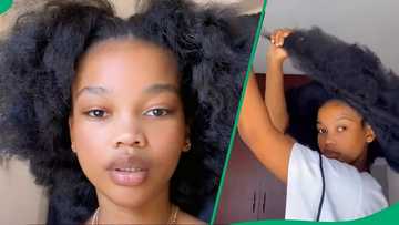 5 Haircare plugs for afro Mzansi ladies loved in 2024