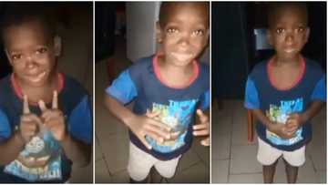 Hilarious video shows little boy telling his mother to calm down