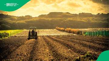 African agriculture needs a data revolution to fast-track its transformation