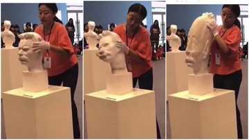 Flexible paper sculpture that can be stretched into shapes amazes people