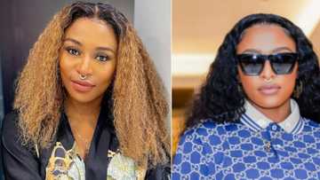 DJ Zinhle's 5 most interesting business ventures, luxury property on Airbnb, lace front wig brand and more