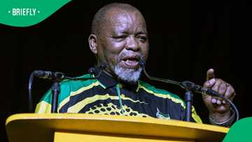 South Africans reject Gwede Mantashe's attempts to explain unemployment remarks