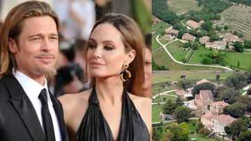 Angelina Jolie, Brad Pitt battle for R2,4 million French estate as she plans selling stake