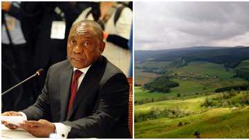 Explainer: How big is the demand for land in South Africa?